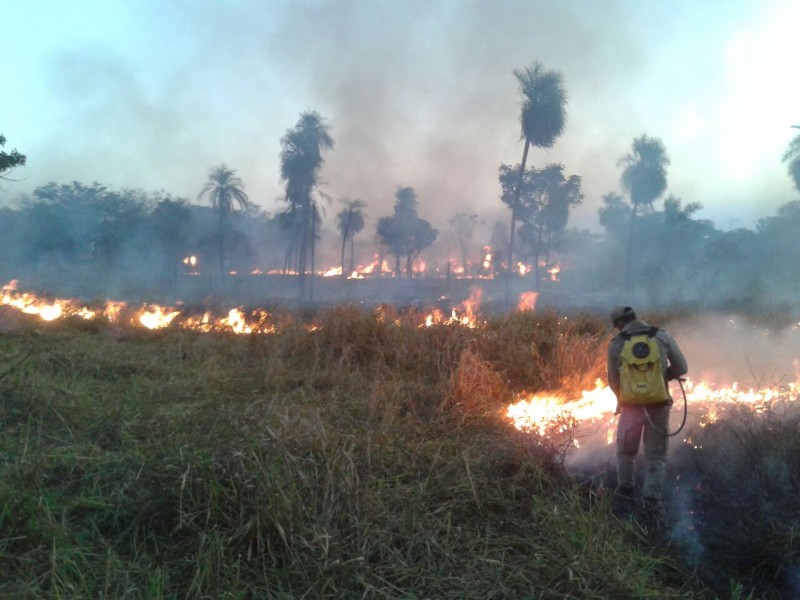 incêndio aprosoja.jpg
